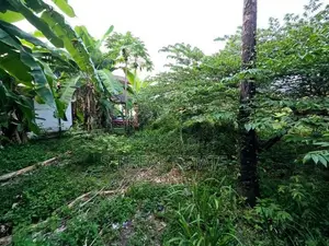 25.25P Bare Land For Sale In Piliyandala
