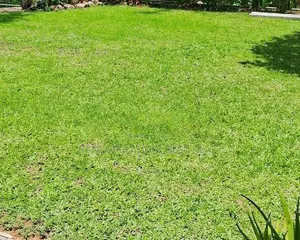 Kurunegala : 22 Perches Commercial Land for Sale