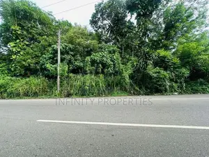 (AFA93) Main Road Facing 95 P Sale At Thalawathugoda