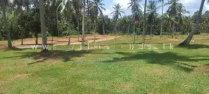 Land for Sale - Divulapitiya
