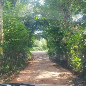 වගා කිරීමට සුදුසු ඉඩමක් කළුතර, යටවර විකිණීමට . (ID: YTWR001S)