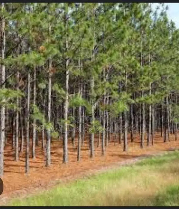 ☆ Ella Land for Sale ( Rs - 234)