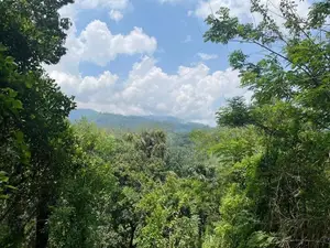 Ella : 160 perches Land for Sale at Rail Gate view point Road