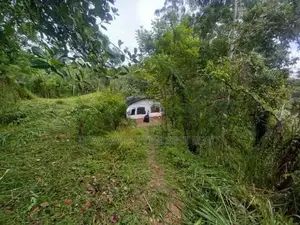 Ella : 80 perches Land for Sale at Mahameuna asapuwa road