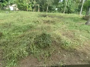 Katunayake : 11 Perches Commercial Land for Sale
