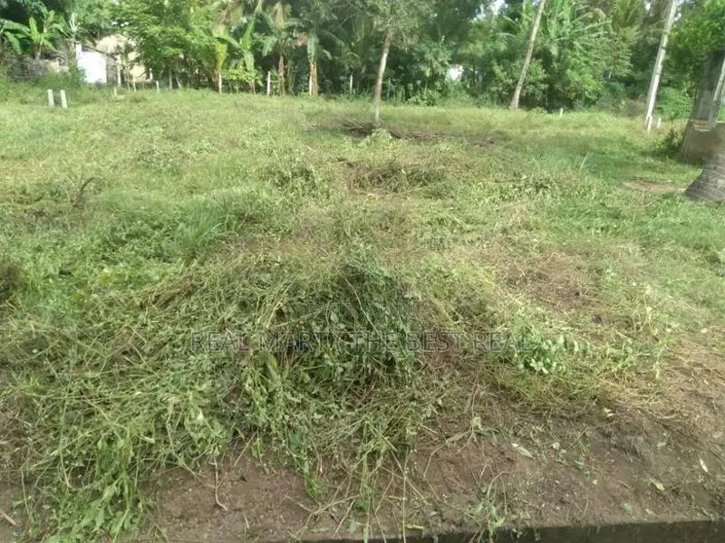 Katunayake : 11 Perches Commercial Land for Sale