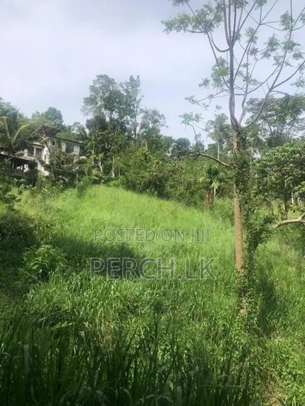 Scenic Hillside Land for Sale in Heerassagala, Kandy