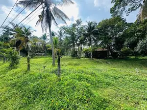 (AFA92)71 P Land Sale At Lake Road Pelawatha Battramulla