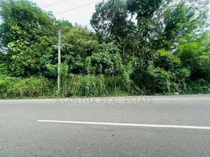 (NNI-99) 95 P Sale At Thalawathugoda