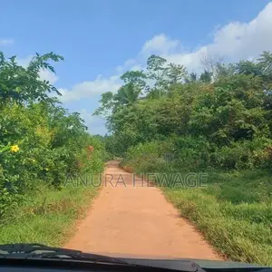 වගා කිරීමට සුදුසු ඉඩමක් කළුතර, යටවර විකිණීමට . (ID: YTWR001S)