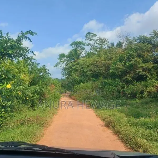 වගා කිරීමට සුදුසු ඉඩමක් කළුතර, යටවර විකිණීමට . (ID: YTWR001S)