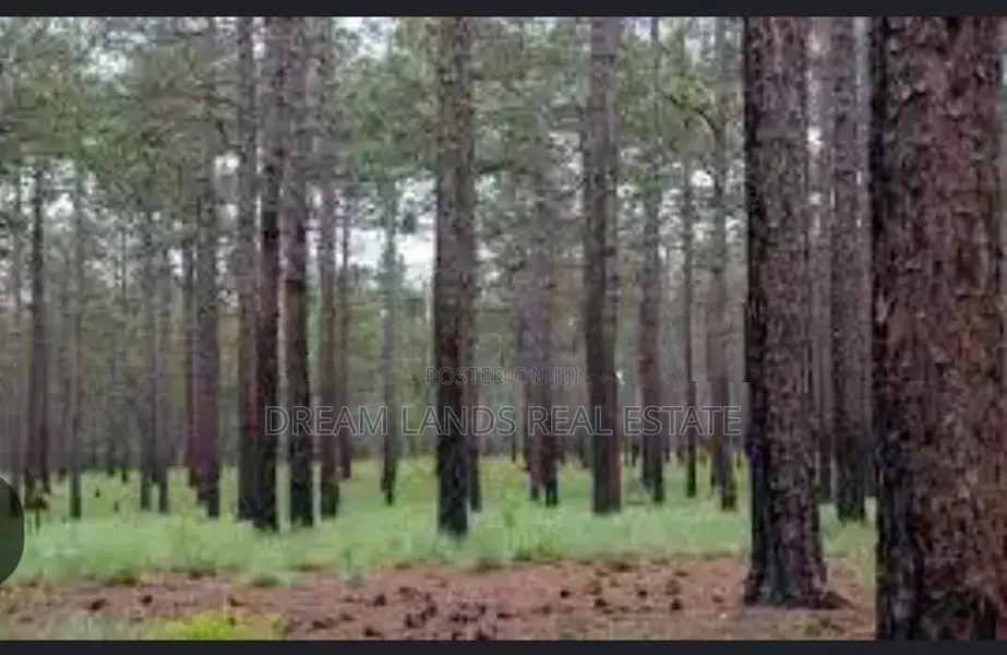 ☆ Ella Land for Sale ( Rs - 234)