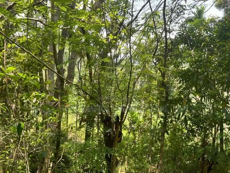 Ella : 160 perches Land for Sale at Rail Gate view point Road