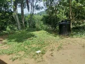 Ella : 80 perches Land for Sale at Mahameuna asapuwa road