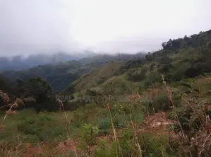 Ella : 360 perches Land for Sale at Kubalwela Road