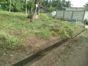Katunayake : 11 Perches Commercial Land for Sale