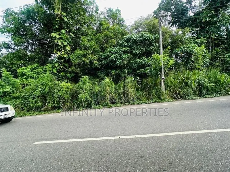 (AFA93) Main Road Facing 95 P Sale At Thalawathugoda