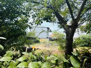 (NNI-122) 17.5 P Land With Old House Sale Nugegoda