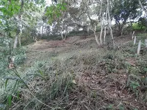 32p Land for Sale in Kandy