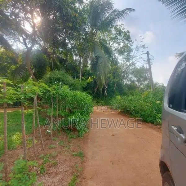 වගා කිරීමට සුදුසු ඉඩමක් කළුතර, යටවර විකිණීමට . (ID: YTWR001S)