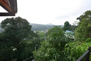 Luxury Villa For Sale in Kandy with Furniture (SP615)