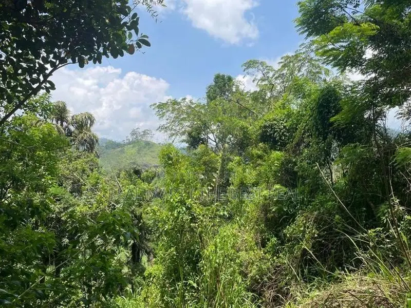 Ella : 160 perches Land for Sale at Rail Gate view point Road