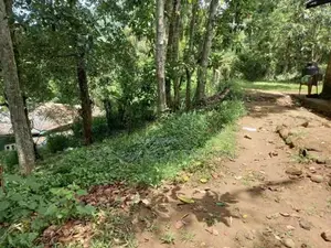 Ella : 80 perches Land for Sale at Mahameuna asapuwa road