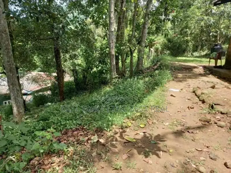 Ella : 80 perches Land for Sale at Mahameuna asapuwa road