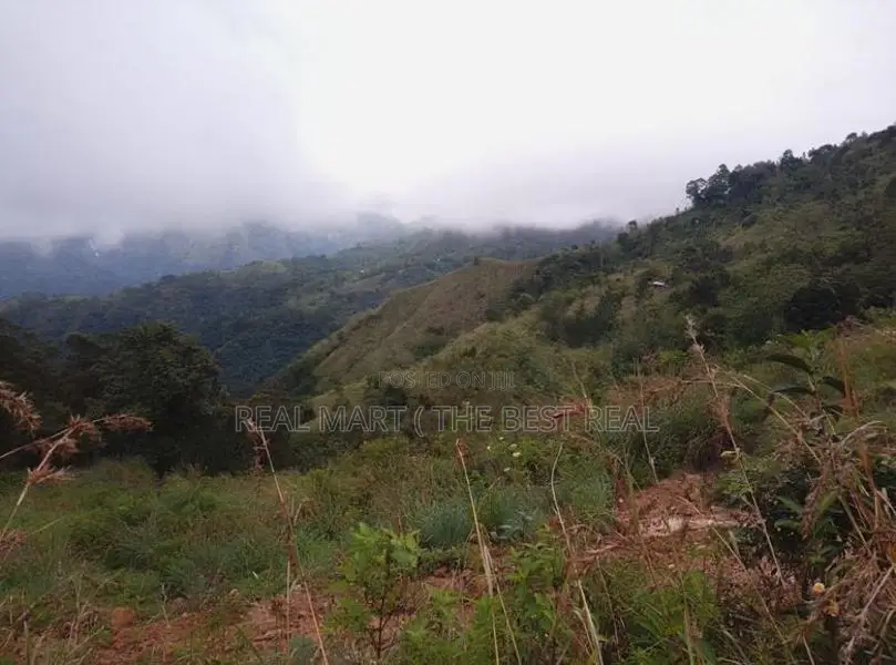 Ella : 10 acres Land for Sale at Ballaketuwa