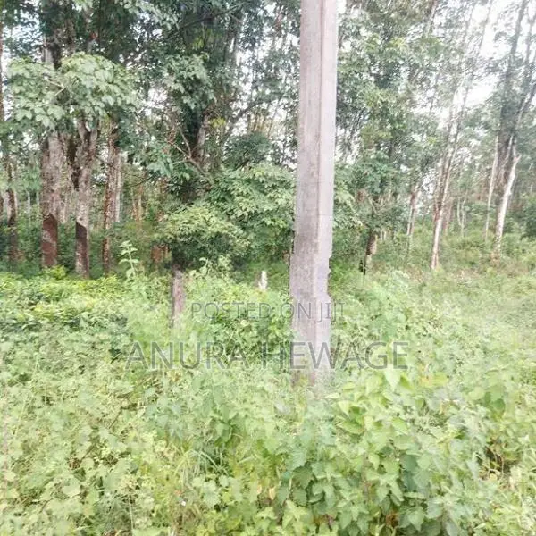 Land Sale Handapangoda, Suitable for industrial factory. (ID: PD02A)