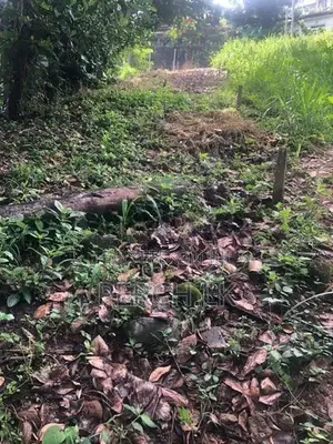 Scenic Hillside Land for Sale in Heerassagala, Kandy