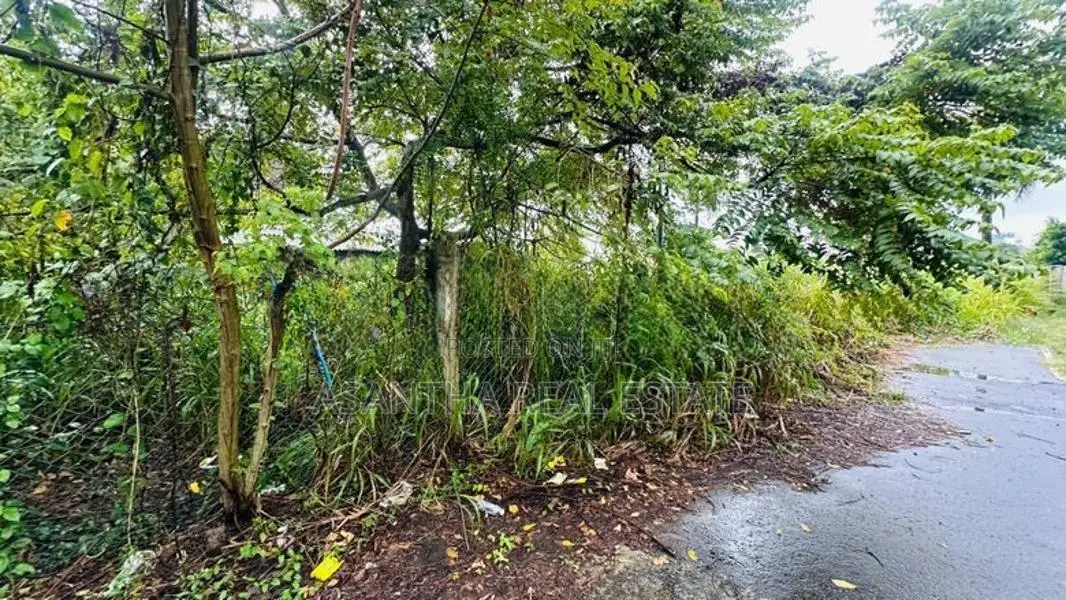 (NNI-158) 8.45 P Land for Sale Dehiwala