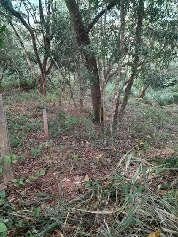 32p Land for Sale in Kandy