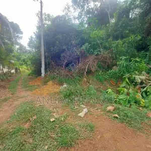 වගා කිරීමට සුදුසු ඉඩමක් කළුතර, යටවර විකිණීමට . (ID: YTWR001S)