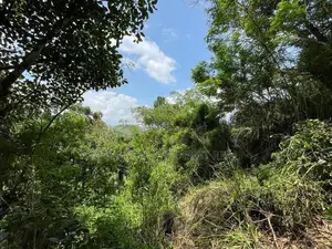Ella : 160 perches Land for Sale at Rail Gate view point Road