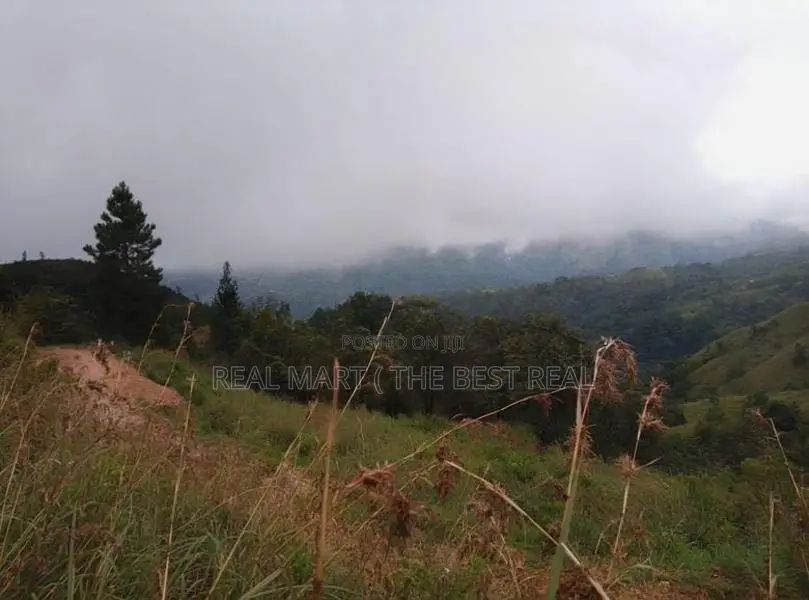Ella : 10 acres Land for Sale at Ballaketuwa
