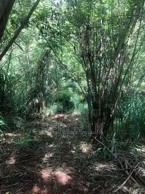 Scenic Hillside Land for Sale in Heerassagala, Kandy