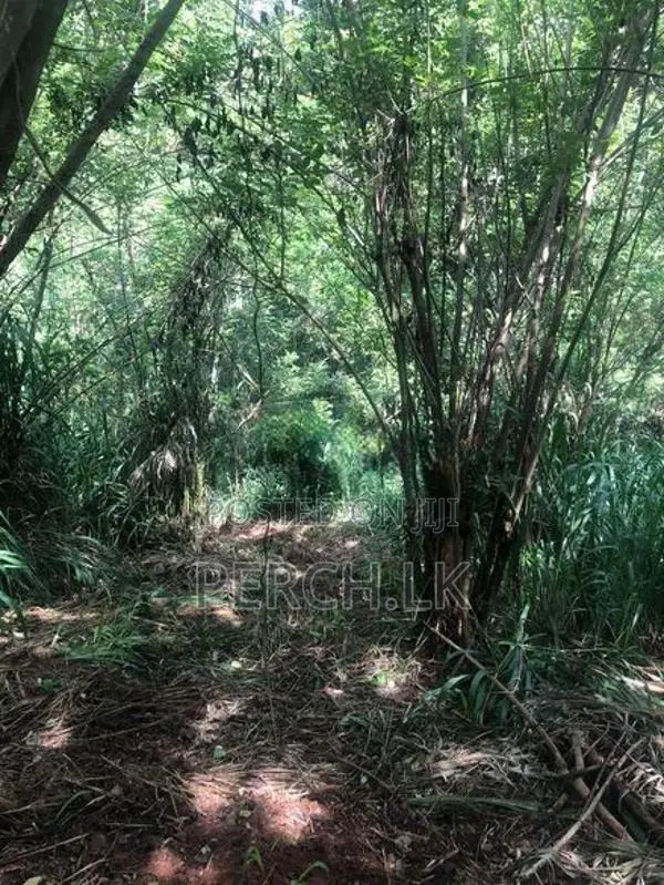 Scenic Hillside Land for Sale in Heerassagala, Kandy