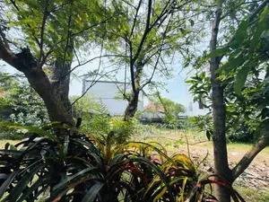 (NNI-122) 17.5 P Land With Old House Sale Nugegoda