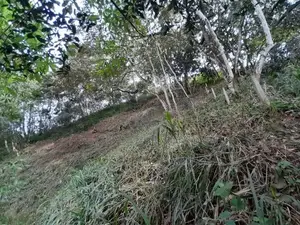 32p Land for Sale in Kandy