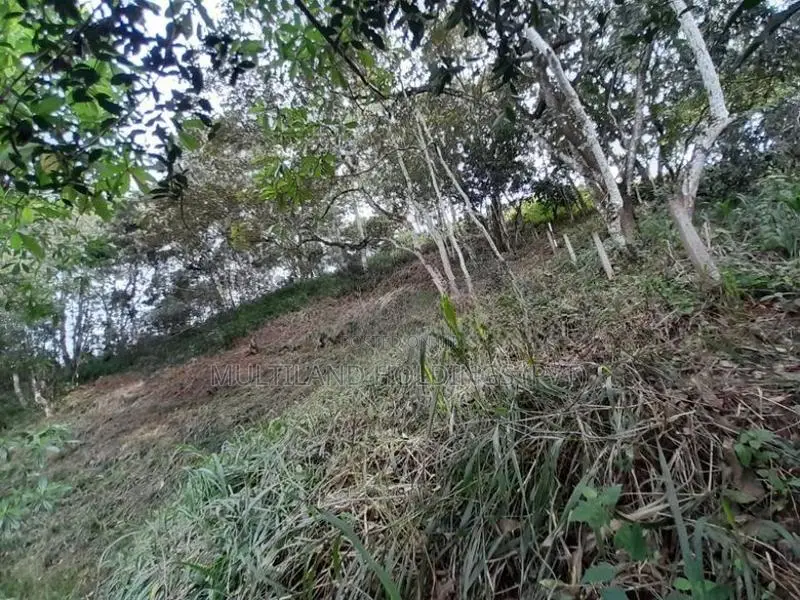 32p Land for Sale in Kandy
