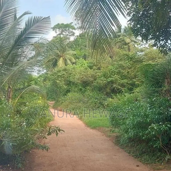 වගා කිරීමට සුදුසු ඉඩමක් කළුතර, යටවර විකිණීමට . (ID: YTWR001S)