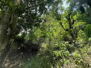 Ella : 160 perches Land for Sale at Rail Gate view point Road