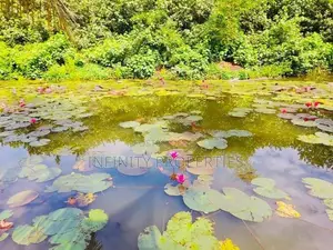 Water Front Facing 15 P Property SALE AT ETHULKOTTE