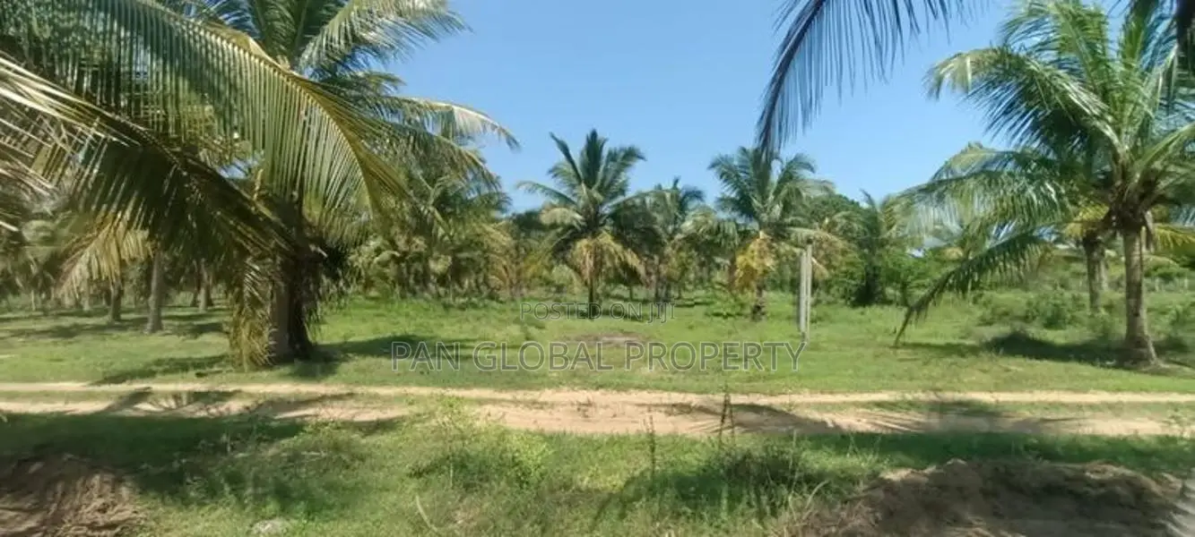 Coconut Estate for Sale in Puttalam