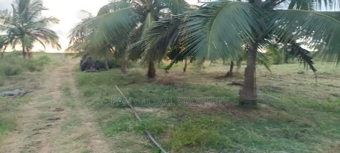 Coconut Estate for Sale in Puttalam