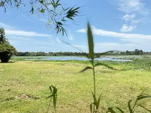 Waterfront Land For Sale in Piliyandala