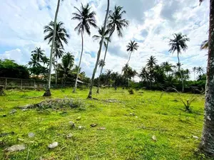 Beach Land for Sale in Wadduwa