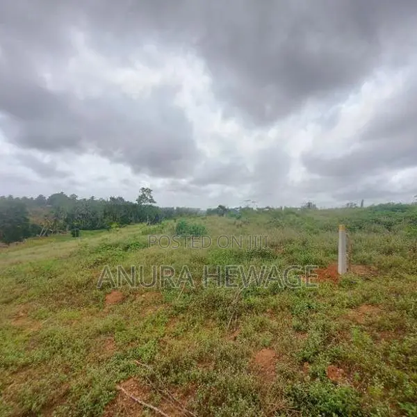 Land for Sale Weniwalkola, Kahathuduwa. ( ID : WNWL001 )