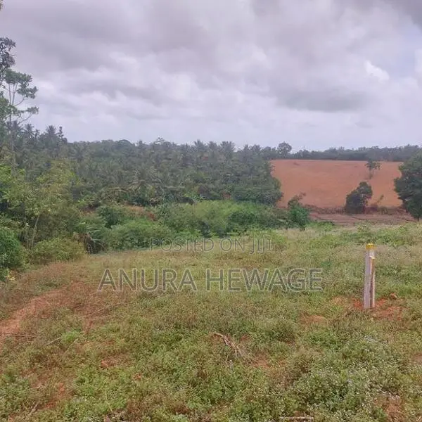 කහතුඩුව, වෙනිවැල්කොළ පිහිටි ඉඩමක් විකිණීමට ඇත. (ID: WNWL001S)